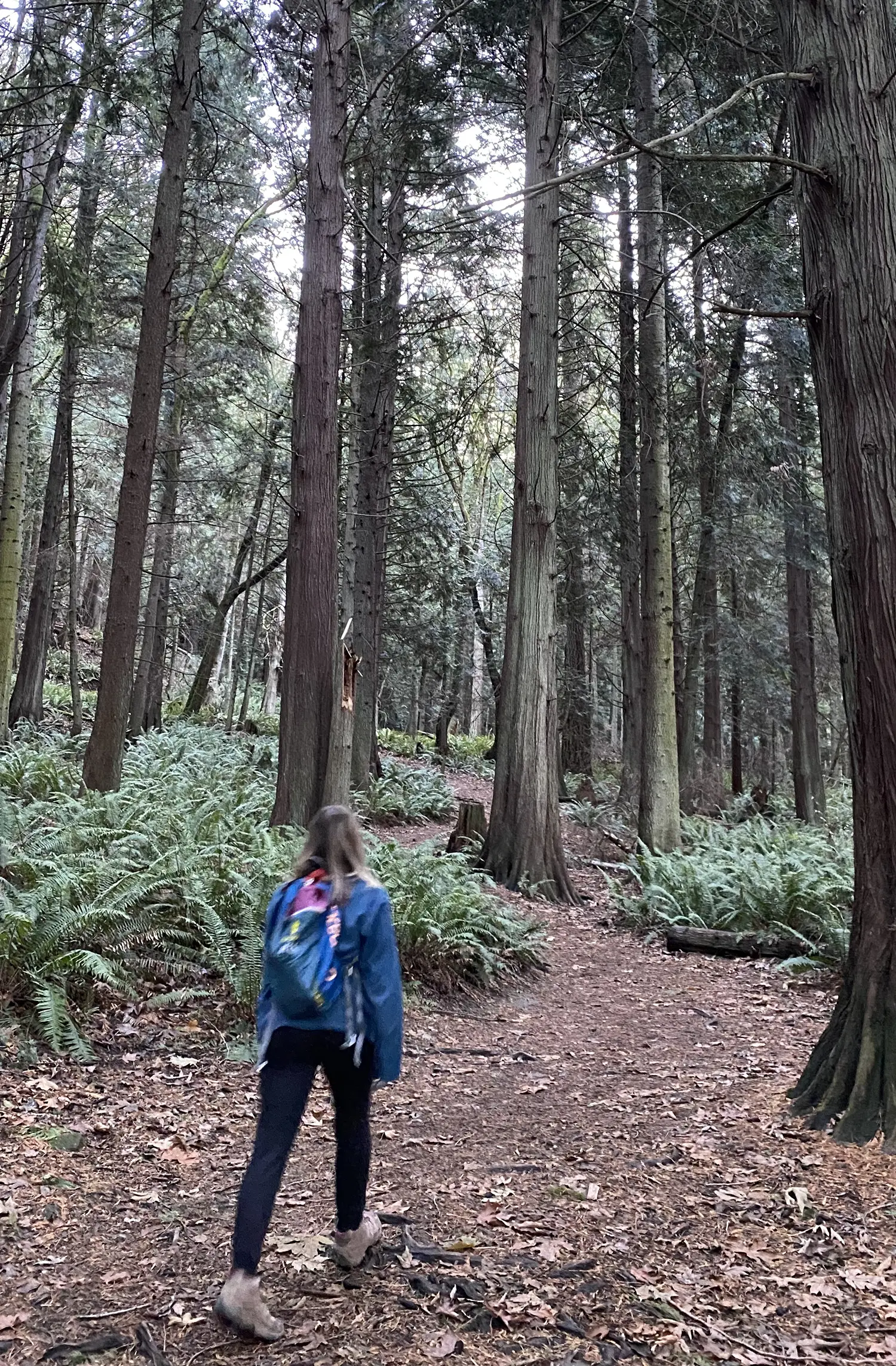 Karen walking in the woods