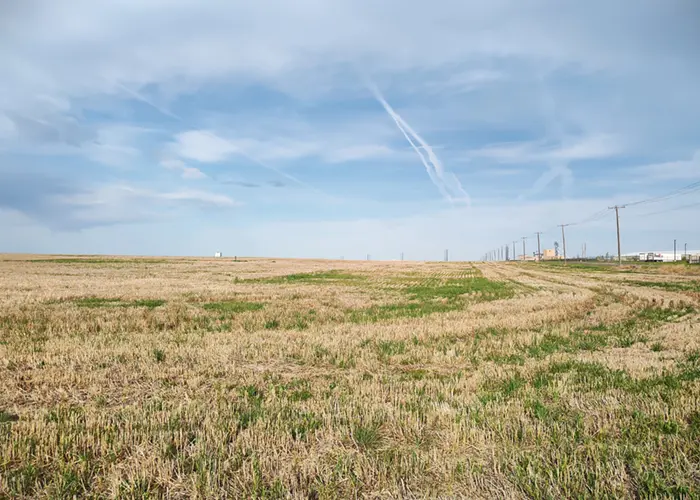 Field where Janicki Montana Campus at AgriTech Park will be.